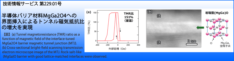 半導体バリア材料MgGa2O4への界面挿入によるトンネル磁気抵抗比の増大を実現